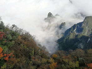 1690长沙 韶山 张家界 黄龙洞 烟雨张家界晚会 天门山 田家老院子 凤凰古城双飞五日游
