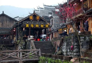 张家界 天门山 凤凰行游记 费用 提示 图片分享