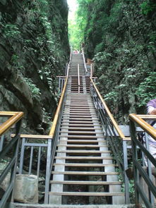 张家界大峡谷玻璃桥 张家界大峡谷1日游 纯玩 品质游 自由不限时 单独导游