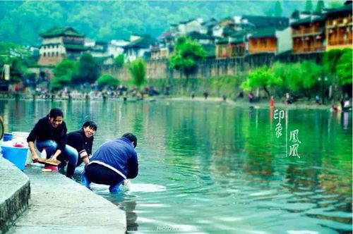 巨惠 惠享张家界高铁四天