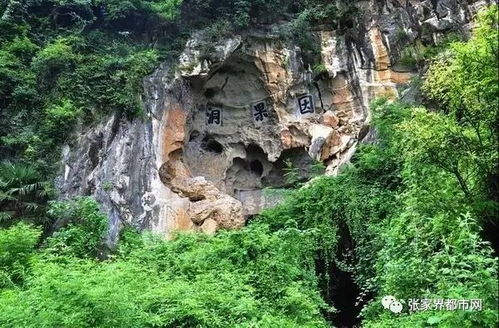 张家界老院子获省千万资金扶持，文旅融合再添新动力