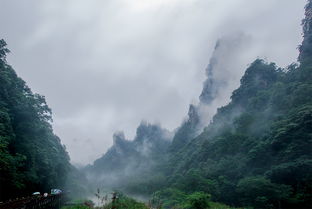 暑假三天张家界单人游预算指南（含老院子）